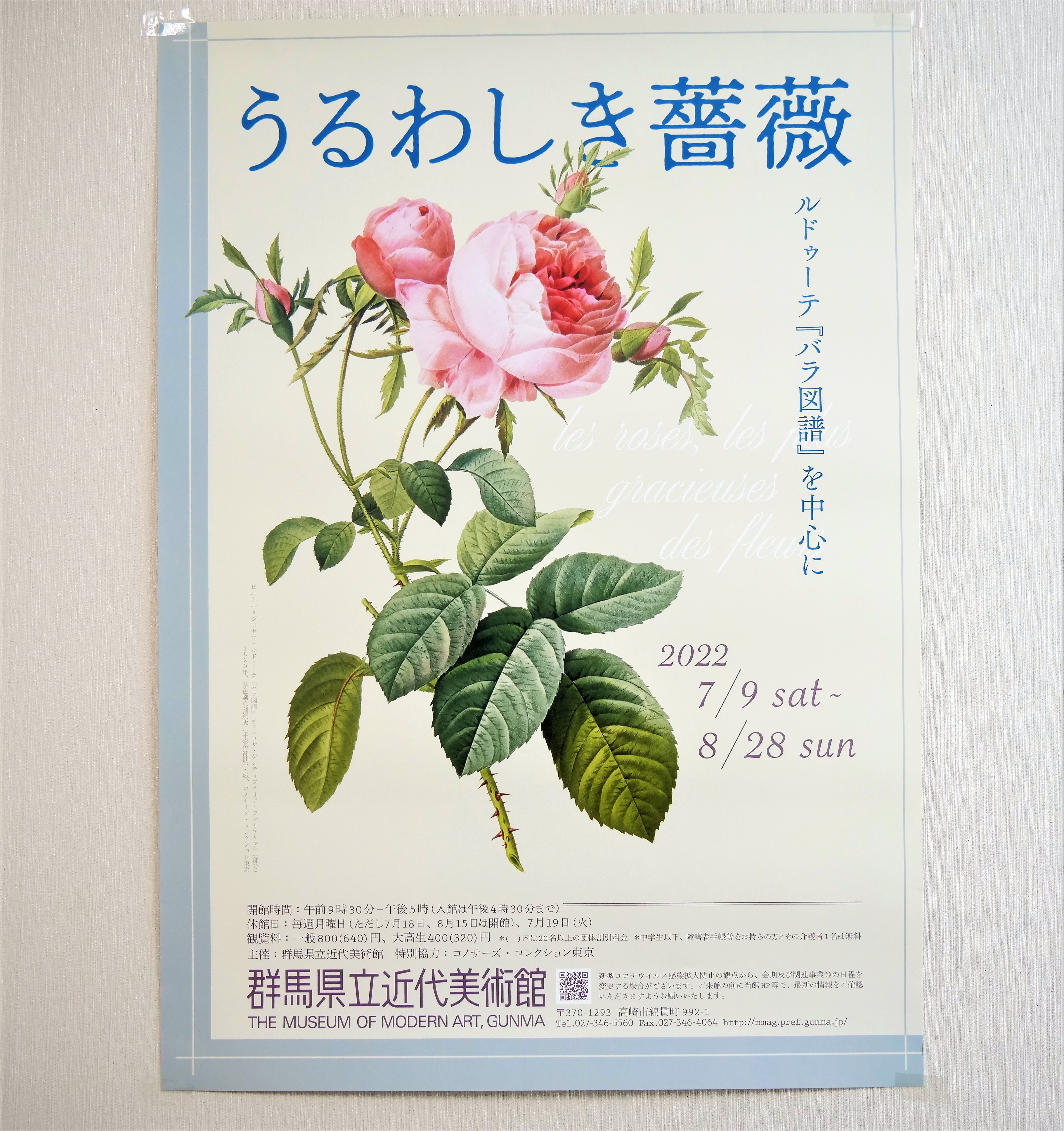 マリー アントワネットの植物画家 ルドゥーテの バラ図譜 を中心にバラの魅力を紹介する展覧会 東京印書館 写真集 展覧会図録 絵本 その他印刷物の企画制作 Tokyo Inshokan Printing Co Ltd