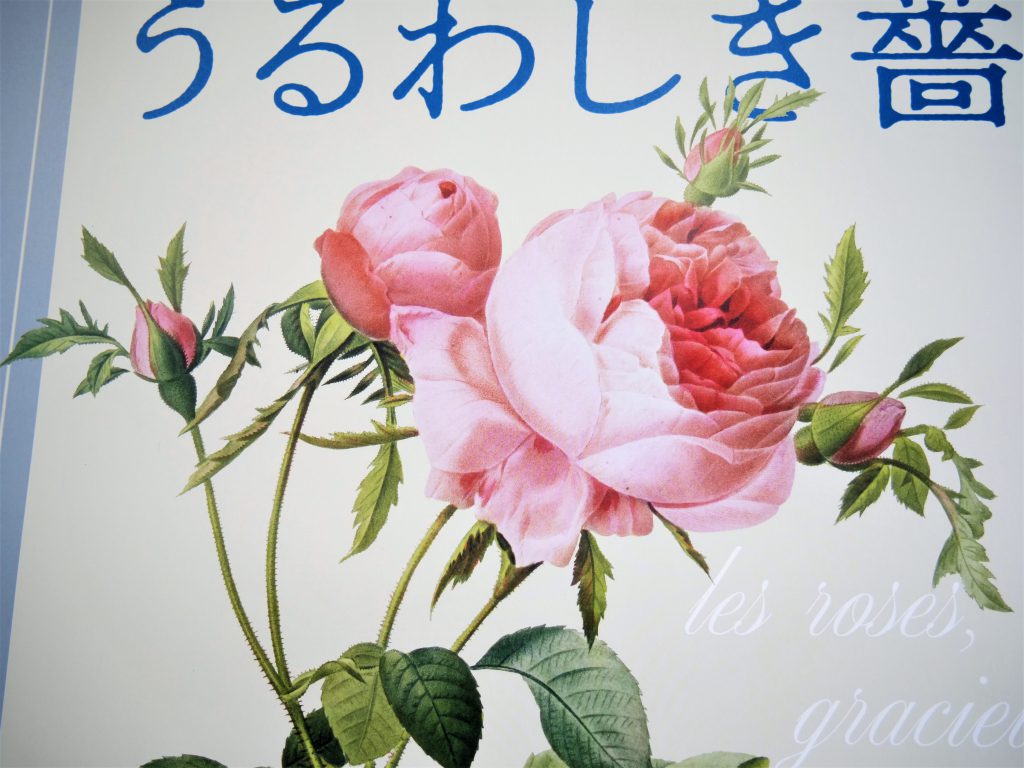 マリー アントワネットの植物画家 ルドゥーテの バラ図譜 を中心にバラの魅力を紹介する展覧会 東京印書館 写真集 展覧会図録 絵本 その他印刷物の企画制作 Tokyo Inshokan Printing Co Ltd