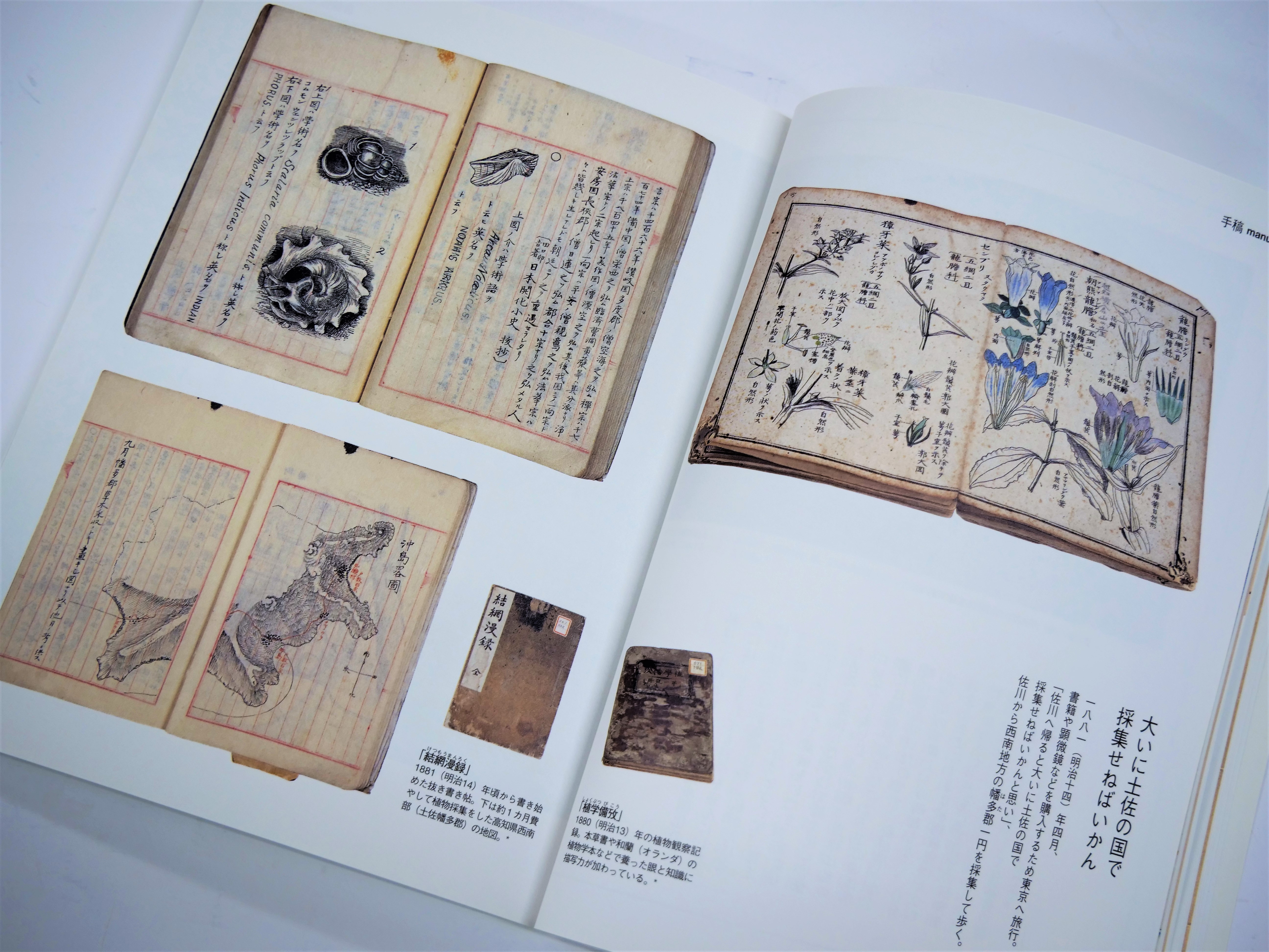 豊かな言葉とスケッチ、写真で綴る牧野富太郎のビジュアル版自叙伝決定 