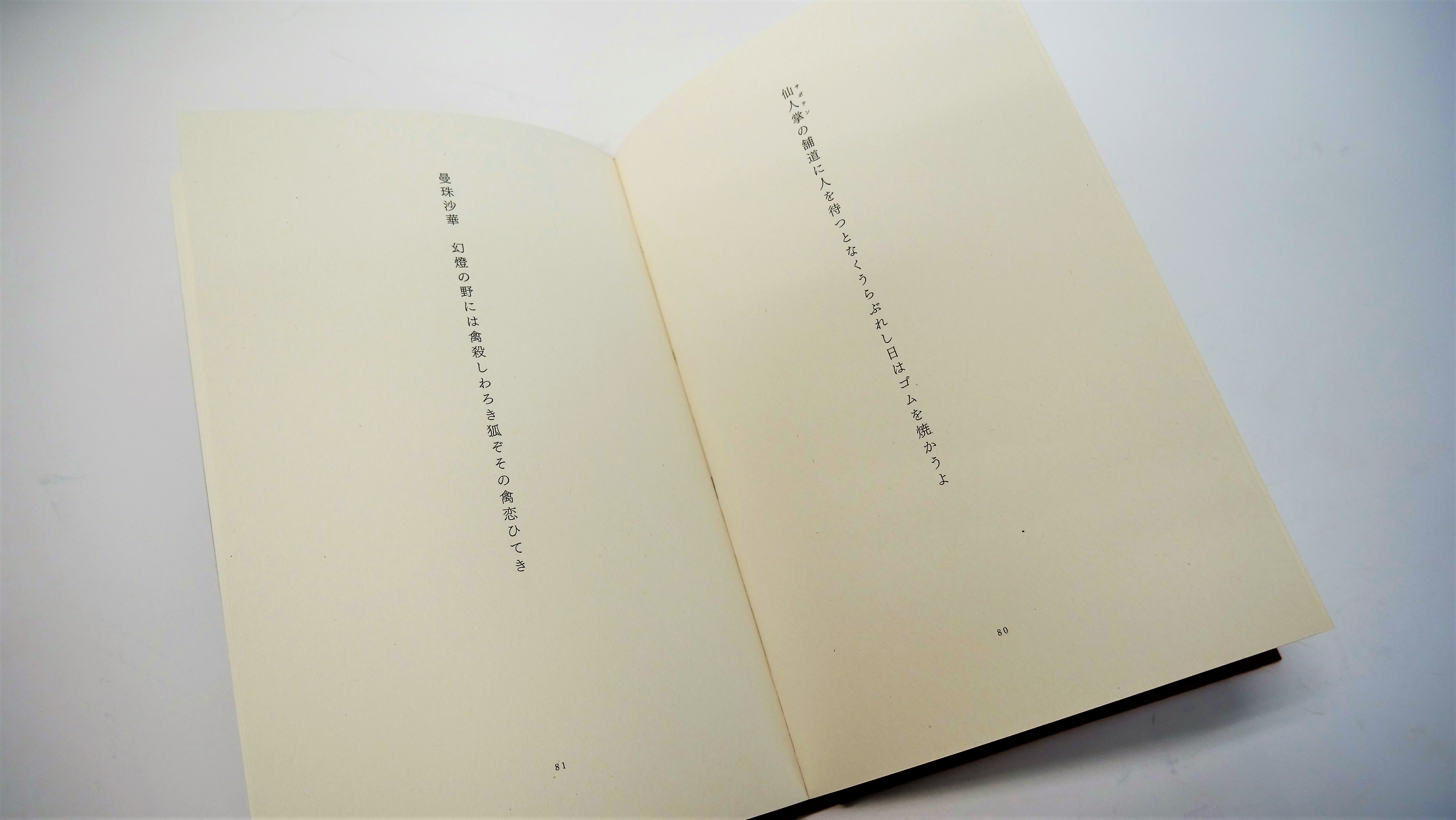 第51回造本装幀コンクール文部科学大臣賞受賞。「幻の作家」山尾悠子の