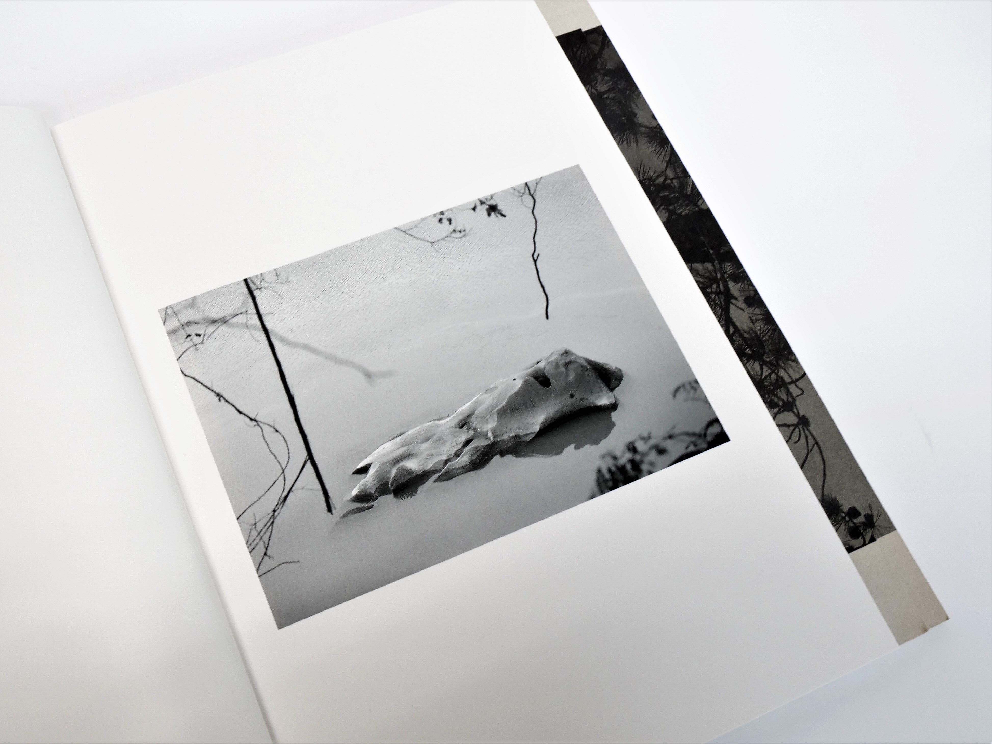 印刷ニスの工夫と特殊製本により、万物の移り変わりを表現した写真集 