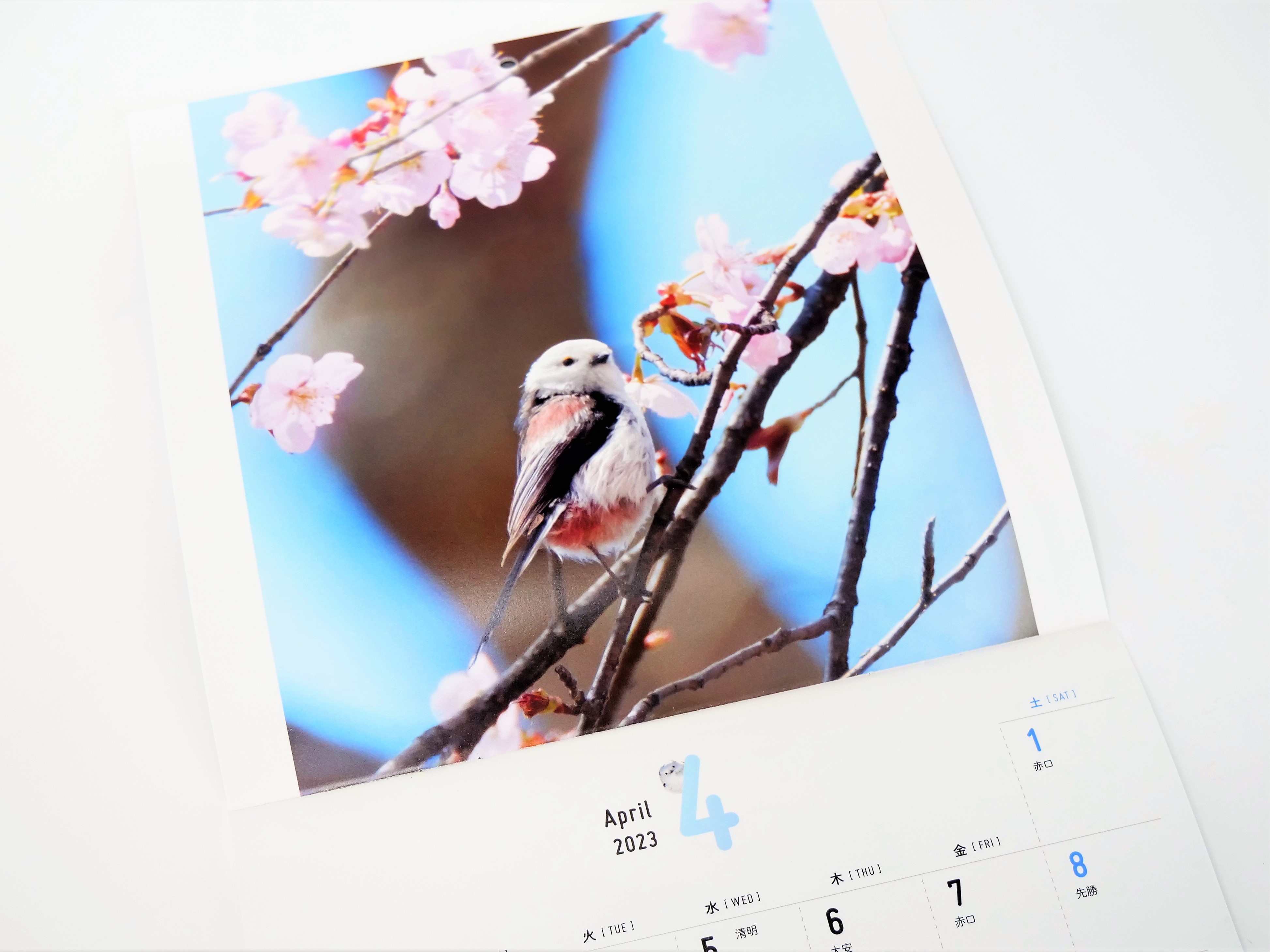 まんまるかわいいシマエナガちゃんを堪能できるカレンダー - 東京印書館 | 写真集・展覧会図録・絵本・その他印刷物の企画制作| TOKYO  INSHOKAN PRINTING CO.,LTD.