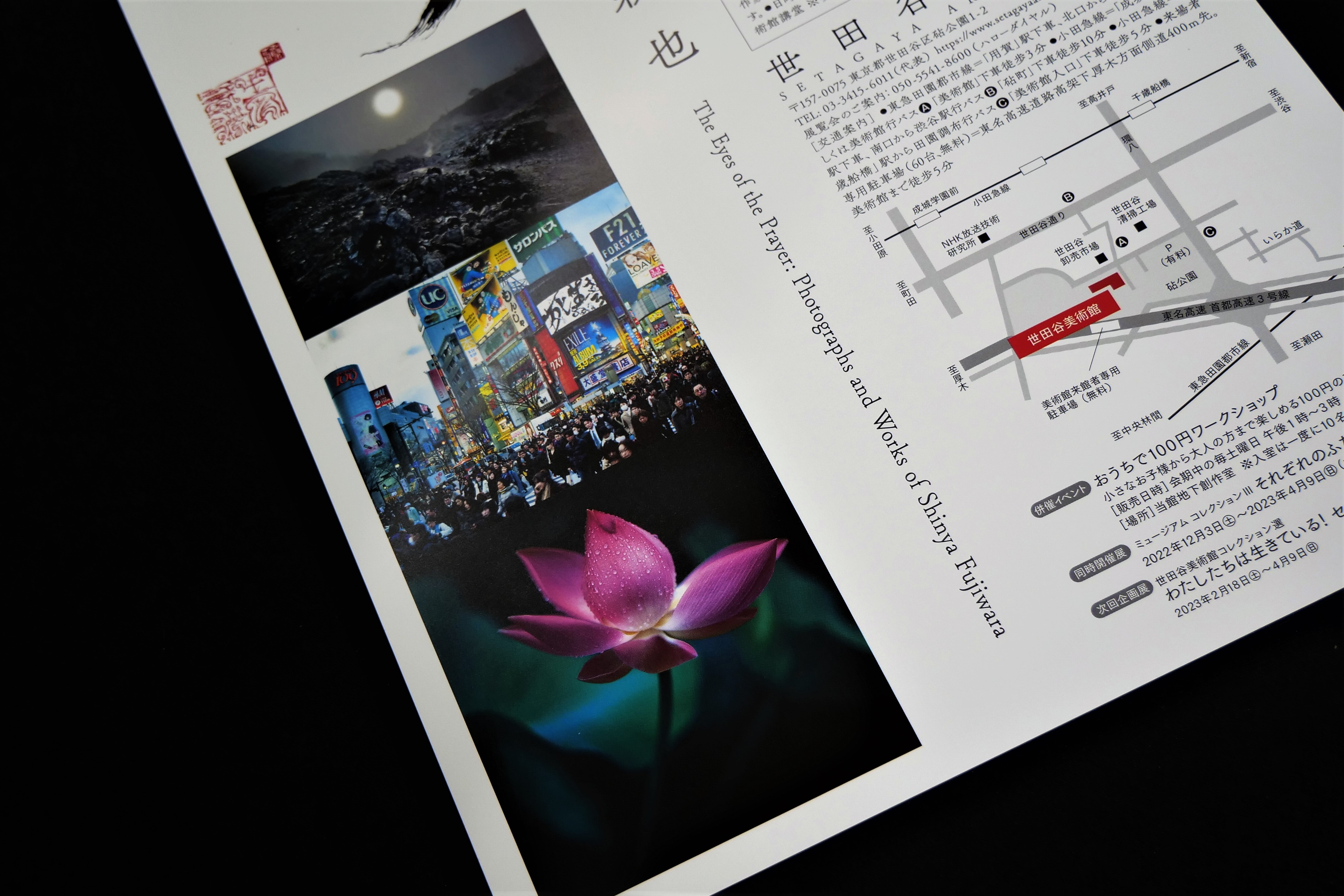 写真家・藤原新也の「祈り」をキーワードに、50年の旅の軌跡を立体的に観る展覧会 - 東京印書館 | 写真集・展覧会図録・絵本・その他印刷物の企画制作|  TOKYO INSHOKAN PRINTING CO.