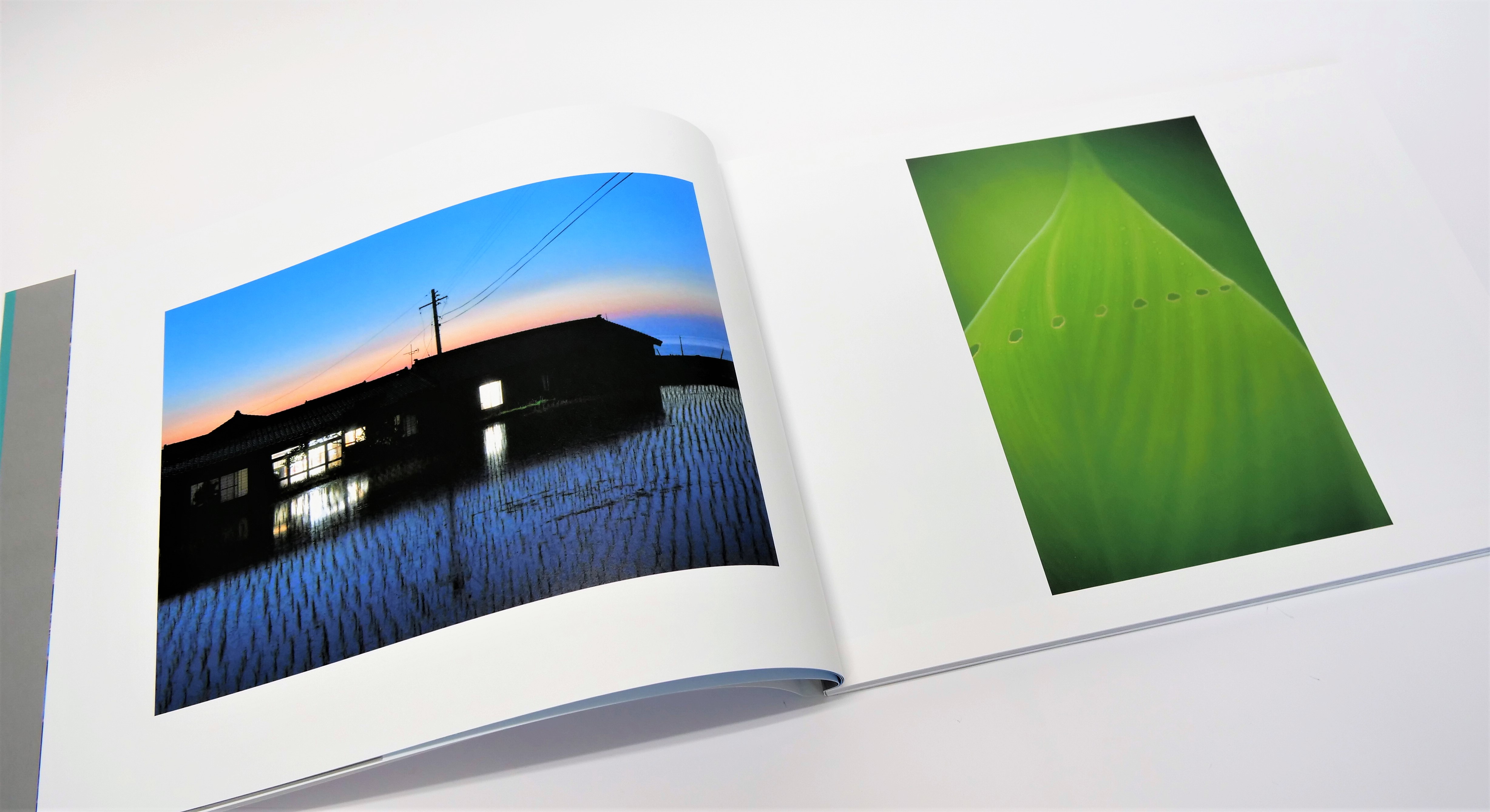 幻想的なブルーに導かれ異世界に誘われる写真集。ブロードインキを使用し美しい色調を再現 - 東京印書館 | 写真集・展覧会図録・絵本・その他印刷物の企画制作|  TOKYO INSHOKAN PRINTING CO.