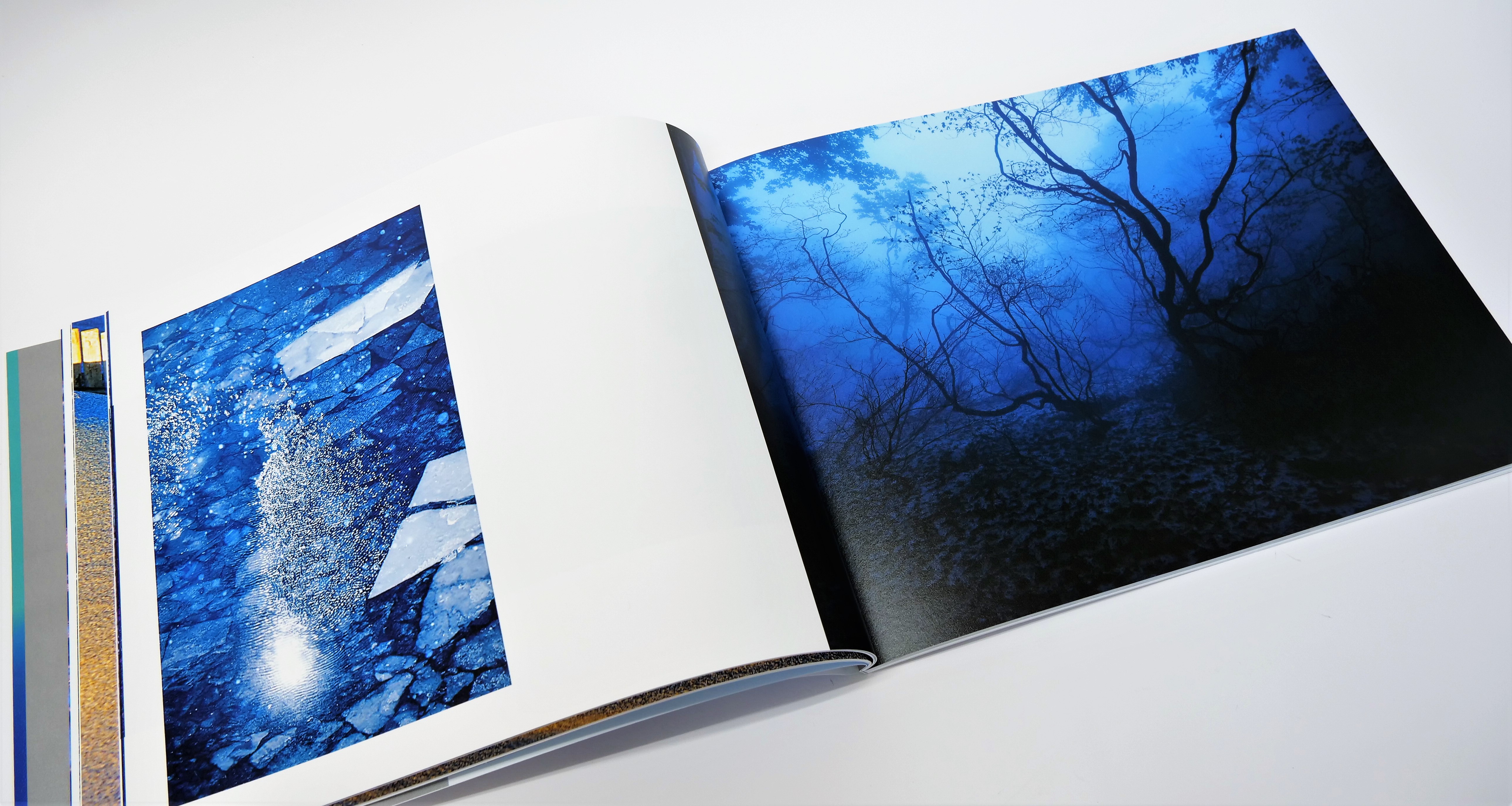 幻想的なブルーに導かれ異世界に誘われる写真集。ブロードインキを使用し美しい色調を再現 - 東京印書館 | 写真集・展覧会図録・絵本・その他印刷物の企画制作|  TOKYO INSHOKAN PRINTING CO.