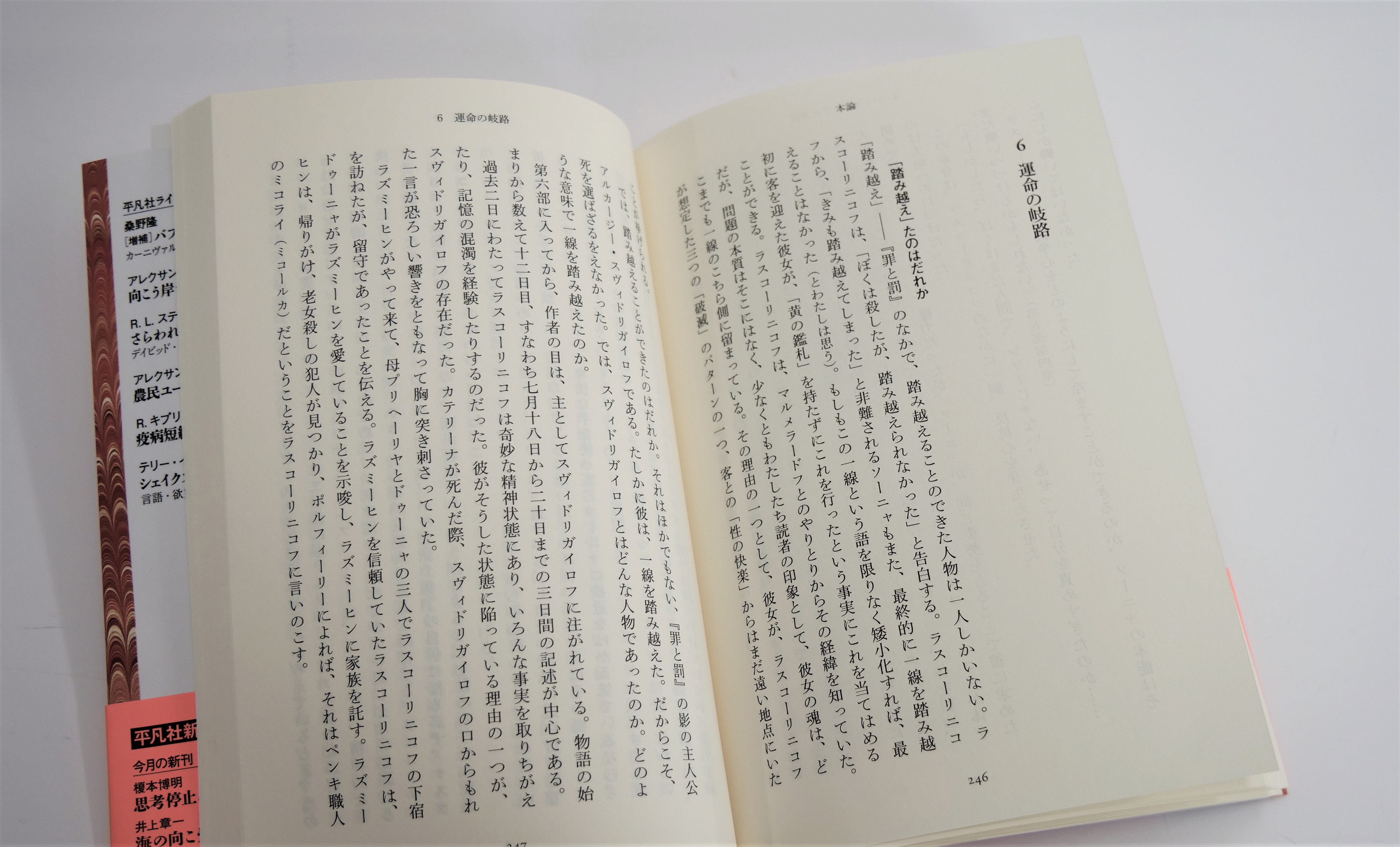 ロシア文学を代表する小説『罪と罰』をドストエフスキー研究の第一人者が読み解く。はたしてドストエフスキーのメッセージとは - 東京印書館 |  写真集・展覧会図録・絵本・その他印刷物の企画制作| TOKYO INSHOKAN PRINTING CO.